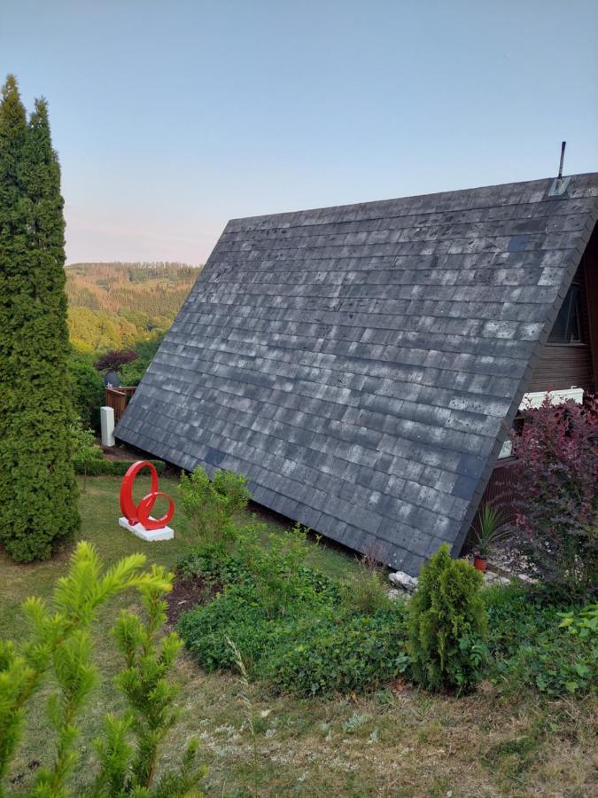 Haus Am See Willingen Bagian luar foto