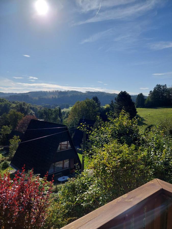 Haus Am See Willingen Bagian luar foto