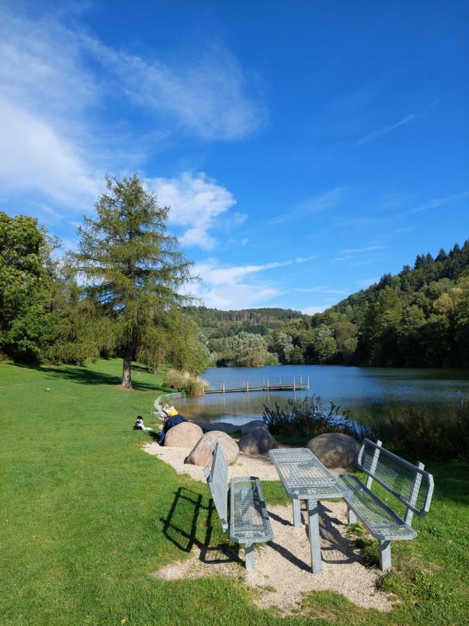 Haus Am See Willingen Bagian luar foto